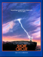 Short Circuit