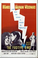 The Fugitive Kind